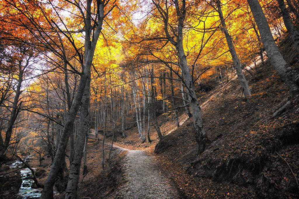 B&B Marconi Montefalcone Appennino Экстерьер фото